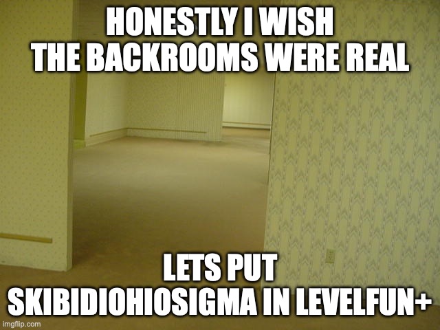 or the void I can't think of any other creepy backrooms levels that I remember | HONESTLY I WISH THE BACKROOMS WERE REAL; LETS PUT SKIBIDIOHIOSIGMA IN LEVELFUN+ | image tagged in the backrooms | made w/ Imgflip meme maker