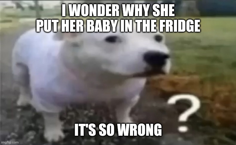 ? | I WONDER WHY SHE PUT HER BABY IN THE FRIDGE IT'S SO WRONG | made w/ Imgflip meme maker