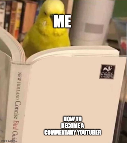 Periquito leyendo libro | ME; HOW TO BECOME A COMMENTARY YOUTUBER | image tagged in periquito leyendo libro | made w/ Imgflip meme maker
