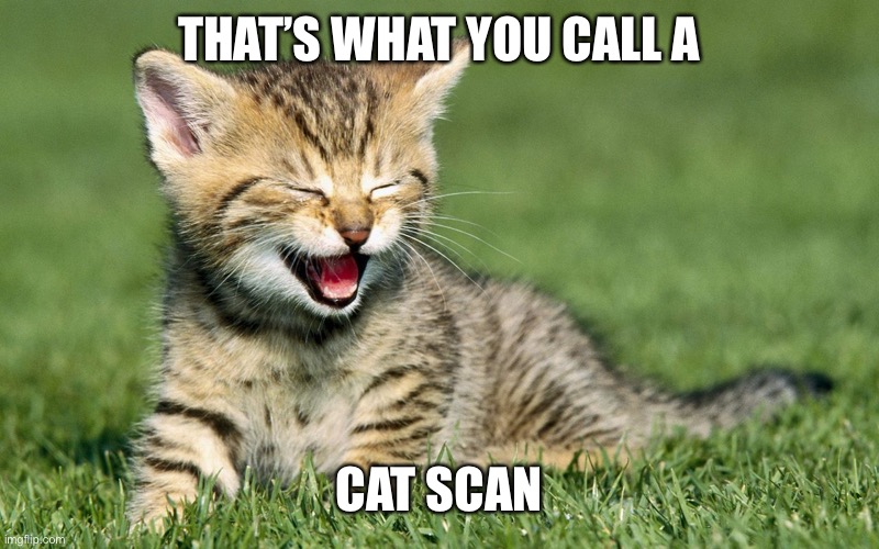 laughing cat | THAT’S WHAT YOU CALL A CAT SCAN | image tagged in laughing cat | made w/ Imgflip meme maker