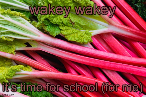 rhubarb | wakey wakey; it’s time for school (for me) | image tagged in rhubarb | made w/ Imgflip meme maker