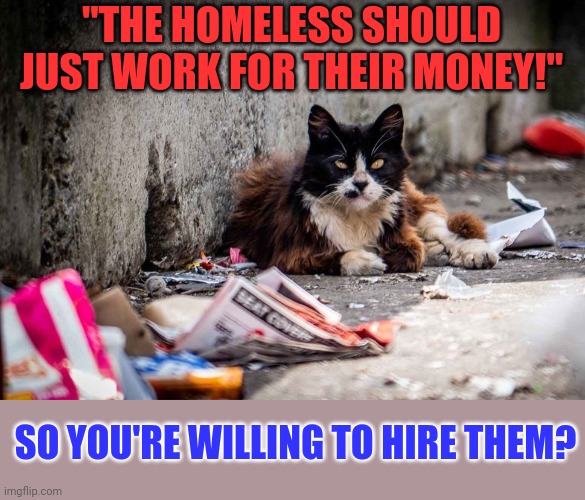 This #lolcat wonders why hoo-mans won't hire the homeless | "THE HOMELESS SHOULD JUST WORK FOR THEIR MONEY!"; SO YOU'RE WILLING TO HIRE THEM? | image tagged in homeless,hypocrisy,poverty,lolcat | made w/ Imgflip meme maker