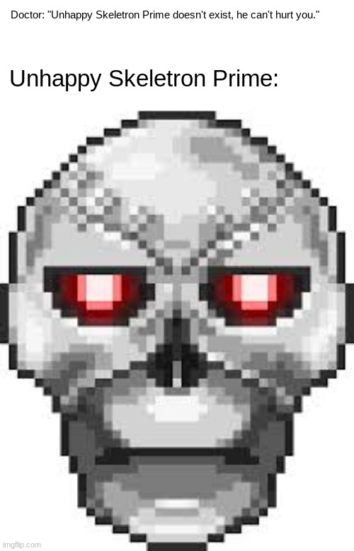 Doctor: "Unhappy Skeletron Prime doesn't exist, he can't hurt you."; Unhappy Skeletron Prime: | image tagged in terraria,memes,funny,video games,cursed | made w/ Imgflip meme maker