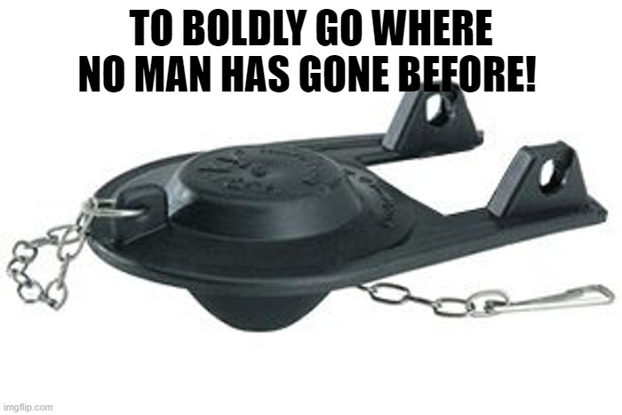 TO BOLDLY GO | TO BOLDLY GO WHERE NO MAN HAS GONE BEFORE! | image tagged in star trek | made w/ Imgflip meme maker