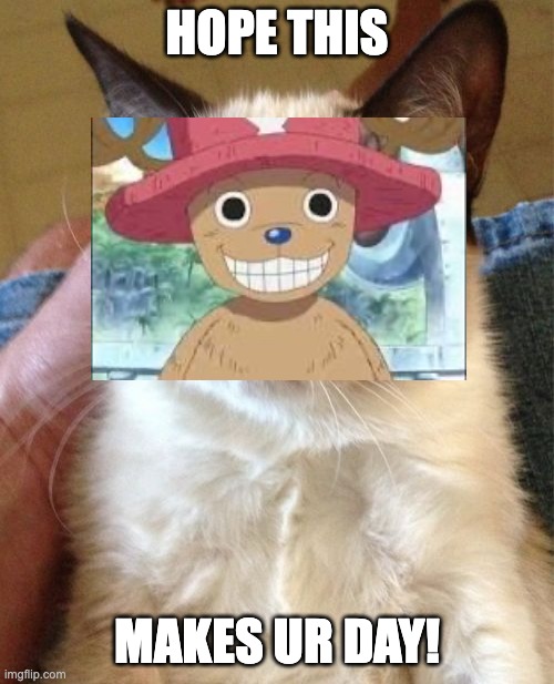 Grumpy Cat | HOPE THIS; MAKES UR DAY! | image tagged in memes,grumpy cat | made w/ Imgflip meme maker
