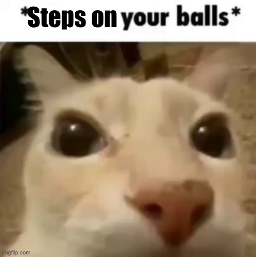 X your balls | Steps on | image tagged in x your balls | made w/ Imgflip meme maker