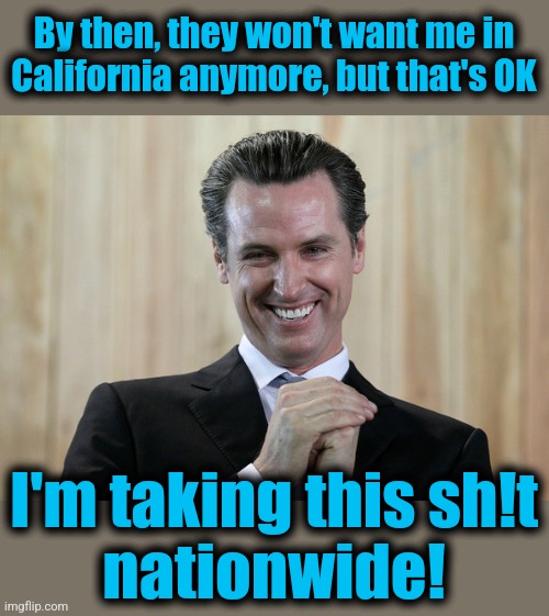Scheming Gavin Newsom  | By then, they won't want me in
California anymore, but that's OK I'm taking this sh!t
nationwide! | image tagged in scheming gavin newsom | made w/ Imgflip meme maker
