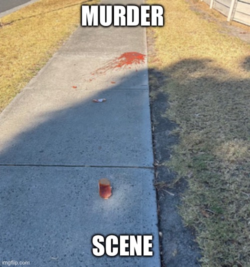 Pasta sauce death | MURDER; SCENE | image tagged in pasta | made w/ Imgflip meme maker