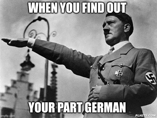 ... | WHEN YOU FIND OUT; YOUR PART GERMAN | image tagged in hitler | made w/ Imgflip meme maker