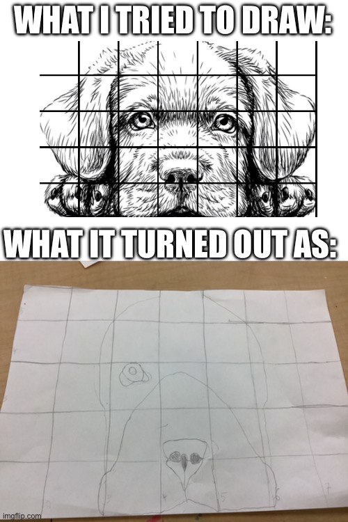 True | WHAT I TRIED TO DRAW:; WHAT IT TURNED OUT AS: | image tagged in dog | made w/ Imgflip meme maker