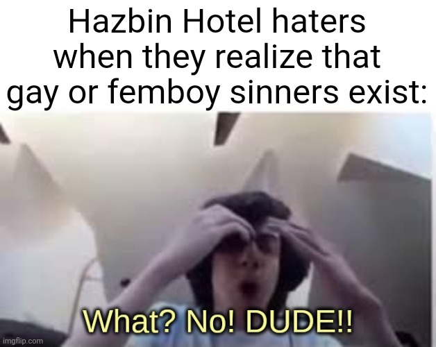 What? No! DUDE!! | Hazbin Hotel haters when they realize that gay or femboy sinners exist: | image tagged in what no dude | made w/ Imgflip meme maker