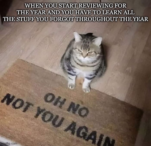 It’s that time a year again for me | WHEN YOU START REVIEWING FOR THE YEAR AND YOU HAVE TO LEARN ALL THE STUFF YOU FORGOT THROUGHOUT THE YEAR | image tagged in oh no not you again cat,school | made w/ Imgflip meme maker