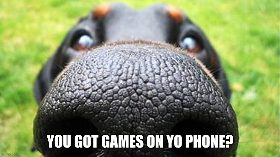 dog nose | YOU GOT GAMES ON YO PHONE? | image tagged in dog nose | made w/ Imgflip meme maker