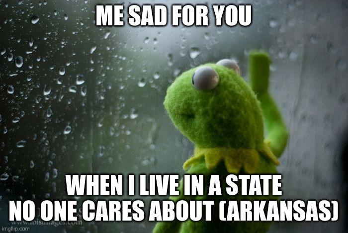 kermit window | ME SAD FOR YOU WHEN I LIVE IN A STATE NO ONE CARES ABOUT (ARKANSAS) | image tagged in kermit window | made w/ Imgflip meme maker
