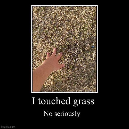 How do I begin | I touched grass | No seriously | image tagged in funny,demotivationals,touch grass | made w/ Imgflip demotivational maker