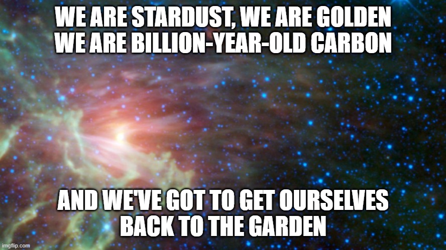 Stardust | WE ARE STARDUST, WE ARE GOLDEN
WE ARE BILLION-YEAR-OLD CARBON; AND WE'VE GOT TO GET OURSELVES
BACK TO THE GARDEN | image tagged in star field | made w/ Imgflip meme maker