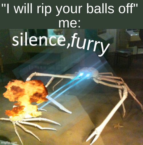 Silence Crab | furry "I will rip your balls off"
me: | image tagged in silence crab | made w/ Imgflip meme maker