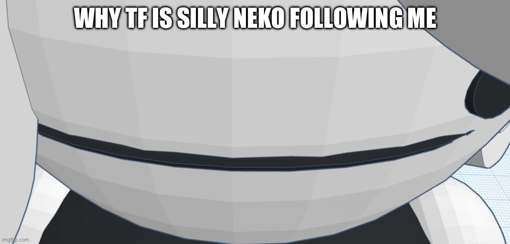 Sexy Chrono bean stare | WHY TF IS SILLY NEKO FOLLOWING ME | image tagged in sexy chrono bean stare | made w/ Imgflip meme maker