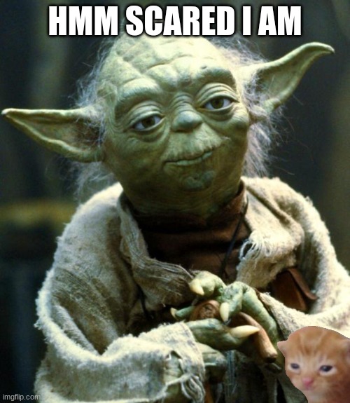 Star Wars Yoda | HMM SCARED I AM | image tagged in memes,star wars yoda | made w/ Imgflip meme maker