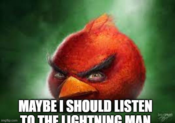 Realistic Red Angry Birds | MAYBE I SHOULD LISTEN TO THE LIGHTNING MAN | image tagged in realistic red angry birds | made w/ Imgflip meme maker