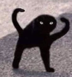 High Quality Black Cat Meme Blank Meme Template