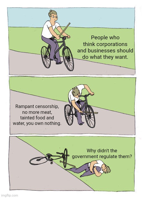 What you ask for. | People who think corporations and businesses should do what they want. Rampant censorship, no more meat, tainted food and water, you own nothing. Why didn't the government regulate them? | image tagged in memes,bike fall | made w/ Imgflip meme maker