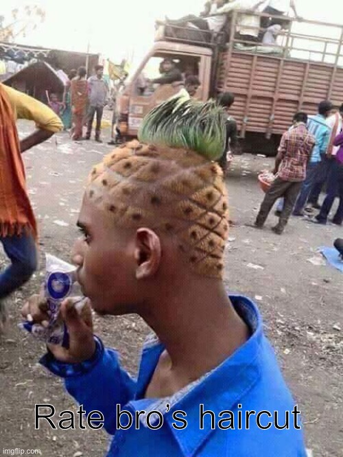 Pineapple hair | Rate bro’s haircut | image tagged in pineapple hair | made w/ Imgflip meme maker