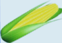 Corn Blank Meme Template
