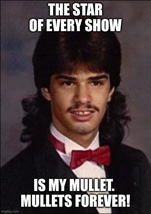 Power Mullet | THE STAR OF EVERY SHOW IS MY MULLET. 
MULLETS FOREVER! | image tagged in power mullet | made w/ Imgflip meme maker