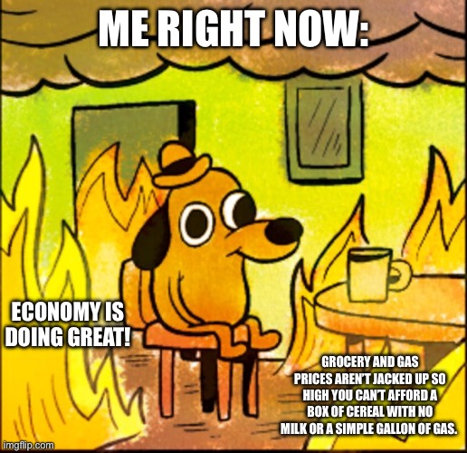 ME RIGHT NOW: ECONOMY IS DOING GREAT! GROCERY AND GAS PRICES AREN’T JACKED UP SO HIGH YOU CAN’T AFFORD A BOX OF CEREAL WITH NO MILK OR A SIM | image tagged in i'm fine | made w/ Imgflip meme maker