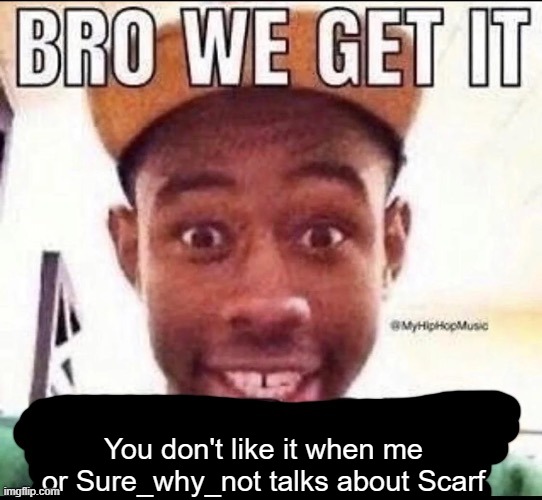 Bro we get it (blank) | You don't like it when me or Sure_why_not talks about Scarf | image tagged in bro we get it blank | made w/ Imgflip meme maker
