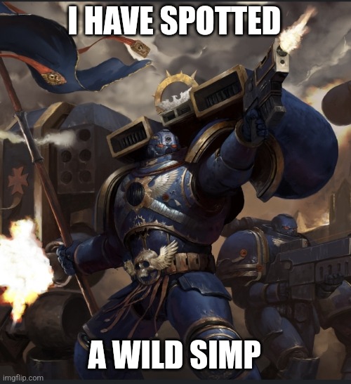 LET'S FUCKING GOOOOO (Warhammer Version) | I HAVE SPOTTED A WILD SIMP | image tagged in let's fucking gooooo warhammer version | made w/ Imgflip meme maker