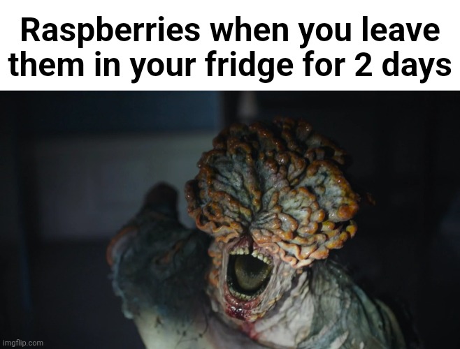 The Last Of Us Bible Clicker | Raspberries when you leave them in your fridge for 2 days | image tagged in the last of us bible clicker | made w/ Imgflip meme maker