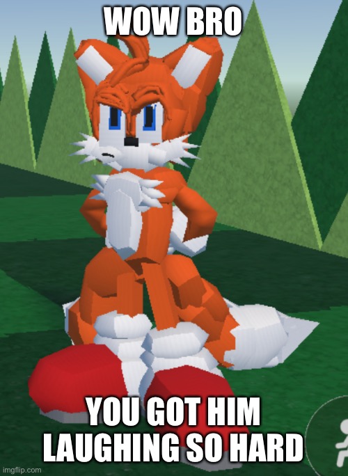 I was playing a recreation of sonic.exe in rec room and got the best ending, tails didn’t die for all i care though | WOW BRO; YOU GOT HIM LAUGHING SO HARD | made w/ Imgflip meme maker