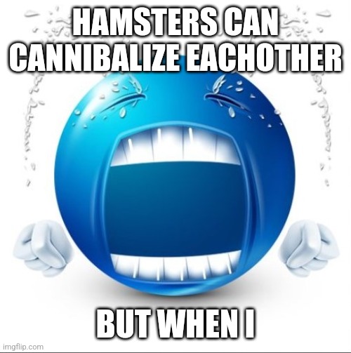 Crying Blue guy | HAMSTERS CAN CANNIBALIZE EACHOTHER; BUT WHEN I | image tagged in crying blue guy | made w/ Imgflip meme maker