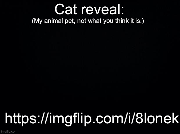 Black background | Cat reveal:; (My animal pet, not what you think it is.); https://imgflip.com/i/8lonek | image tagged in black background | made w/ Imgflip meme maker