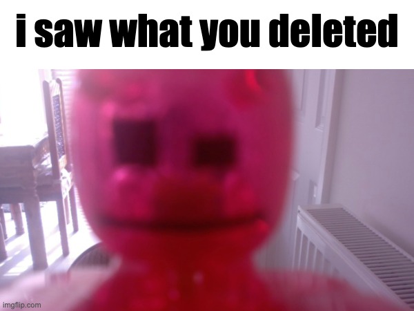 i saw what you deleted | made w/ Imgflip meme maker