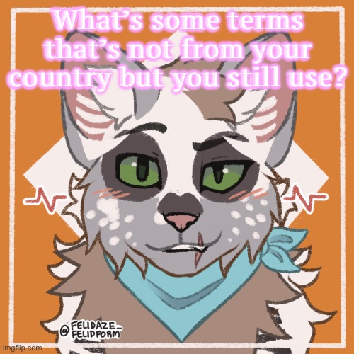 Like I use “tenner” to refer to a 10$ bill etc. | What’s some terms that’s not from your country but you still use? | made w/ Imgflip meme maker