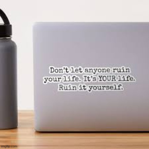 ruin your own life | image tagged in ruin your own life | made w/ Imgflip meme maker
