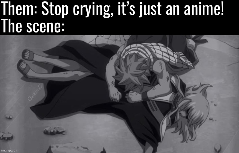 Future Lucy Fairy Tail Meme | Them: Stop crying, it’s just an anime! 
The scene:; ChristinaO | image tagged in memes,fairy tail,fairy tail meme,fairy tail memes,lucy heartfilia,future lucy | made w/ Imgflip meme maker