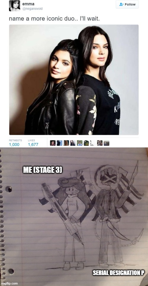 Lol, we're better. and you get a good look of my stage 3, (TheInsanePetRockArtist) | ME (STAGE 3); SERIAL DESIGNATION P | image tagged in name a more iconic duo | made w/ Imgflip meme maker