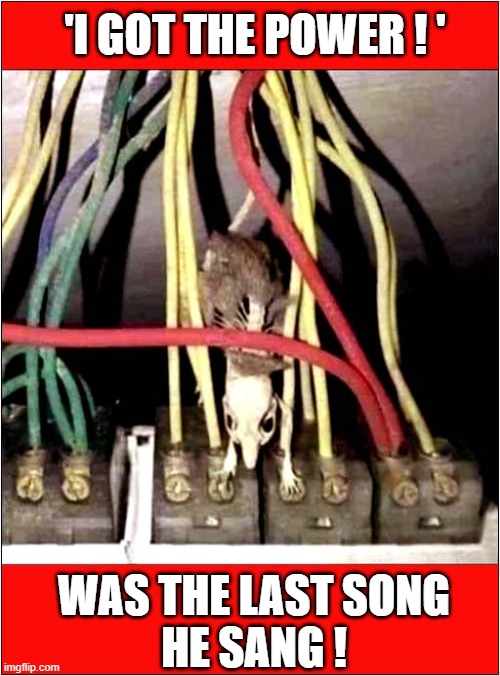 The Electrical Short Explained ! | 'I GOT THE POWER ! '; WAS THE LAST SONG
HE SANG ! | image tagged in mouse,electrocuted,dark humour | made w/ Imgflip meme maker