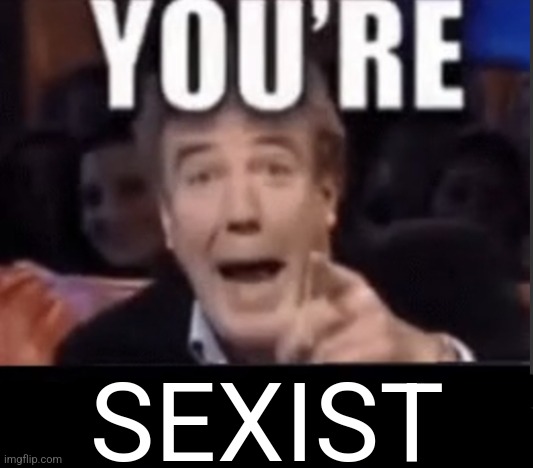You're X (Blank) | SEXIST | image tagged in you're x blank | made w/ Imgflip meme maker
