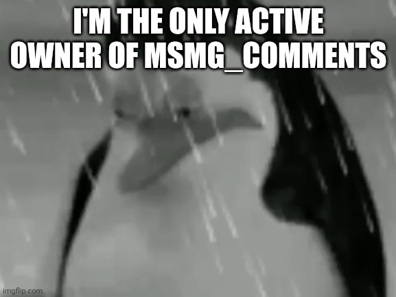 Sadge | I'M THE ONLY ACTIVE OWNER OF MSMG_COMMENTS; https://imgflip.com/m/msmg_comments | image tagged in sadge | made w/ Imgflip meme maker