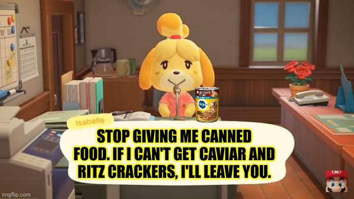 Animal crossing lore | STOP GIVING ME CANNED FOOD. IF I CAN'T GET CAVIAR AND RITZ CRACKERS, I'LL LEAVE YOU. | image tagged in isabelle animal crossing announcement,isabelle,animal crossing,dog food | made w/ Imgflip meme maker