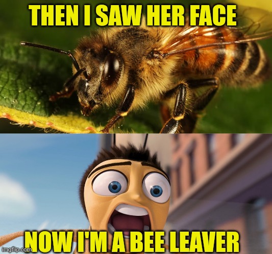 THEN I SAW HER FACE; NOW I'M A BEE LEAVER | image tagged in queen bee,bee movie | made w/ Imgflip meme maker