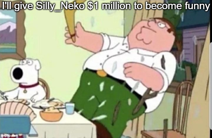 Mood | I'll give Silly_Neko $1 million to become funny | image tagged in mood | made w/ Imgflip meme maker