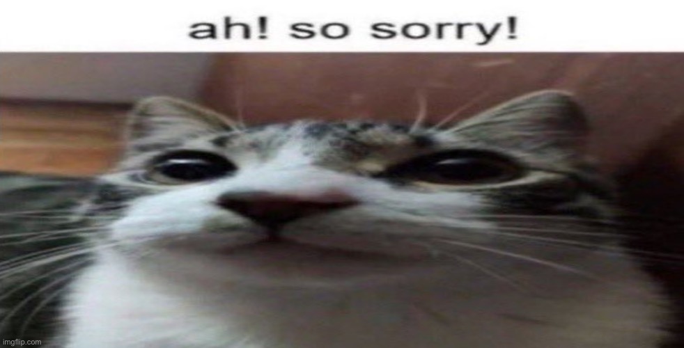 ah! so sorry! | image tagged in ah so sorry | made w/ Imgflip meme maker