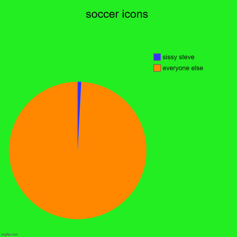soccer icons | everyone else, sissy steve | image tagged in charts,pie charts | made w/ Imgflip chart maker