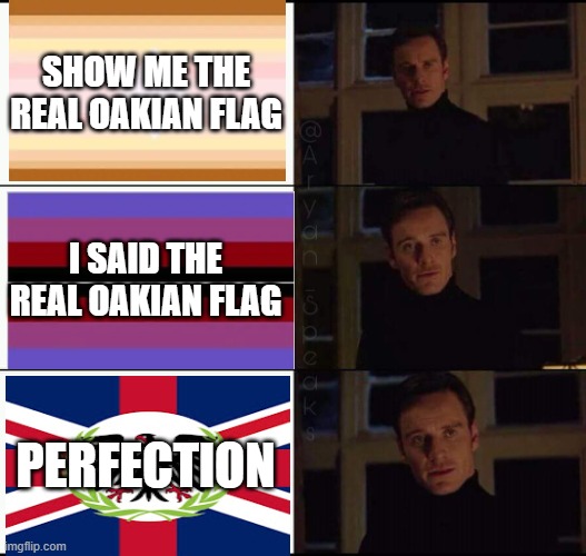 oakian union meme | SHOW ME THE REAL OAKIAN FLAG; I SAID THE REAL OAKIAN FLAG; PERFECTION | image tagged in show me the real,micronation,oakianunion,micronations,flag,meme | made w/ Imgflip meme maker